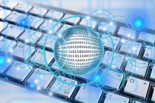 乐鱼-篮球专项技能教学创新实践及效果评估，篮球教学实施报告 教学能力比赛