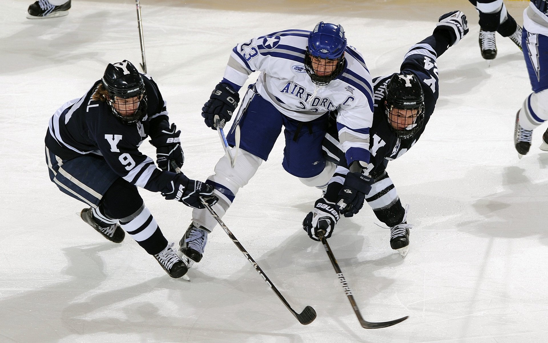 高校运动训练动态管理机制,高校运动训练动态管理机制有哪些
