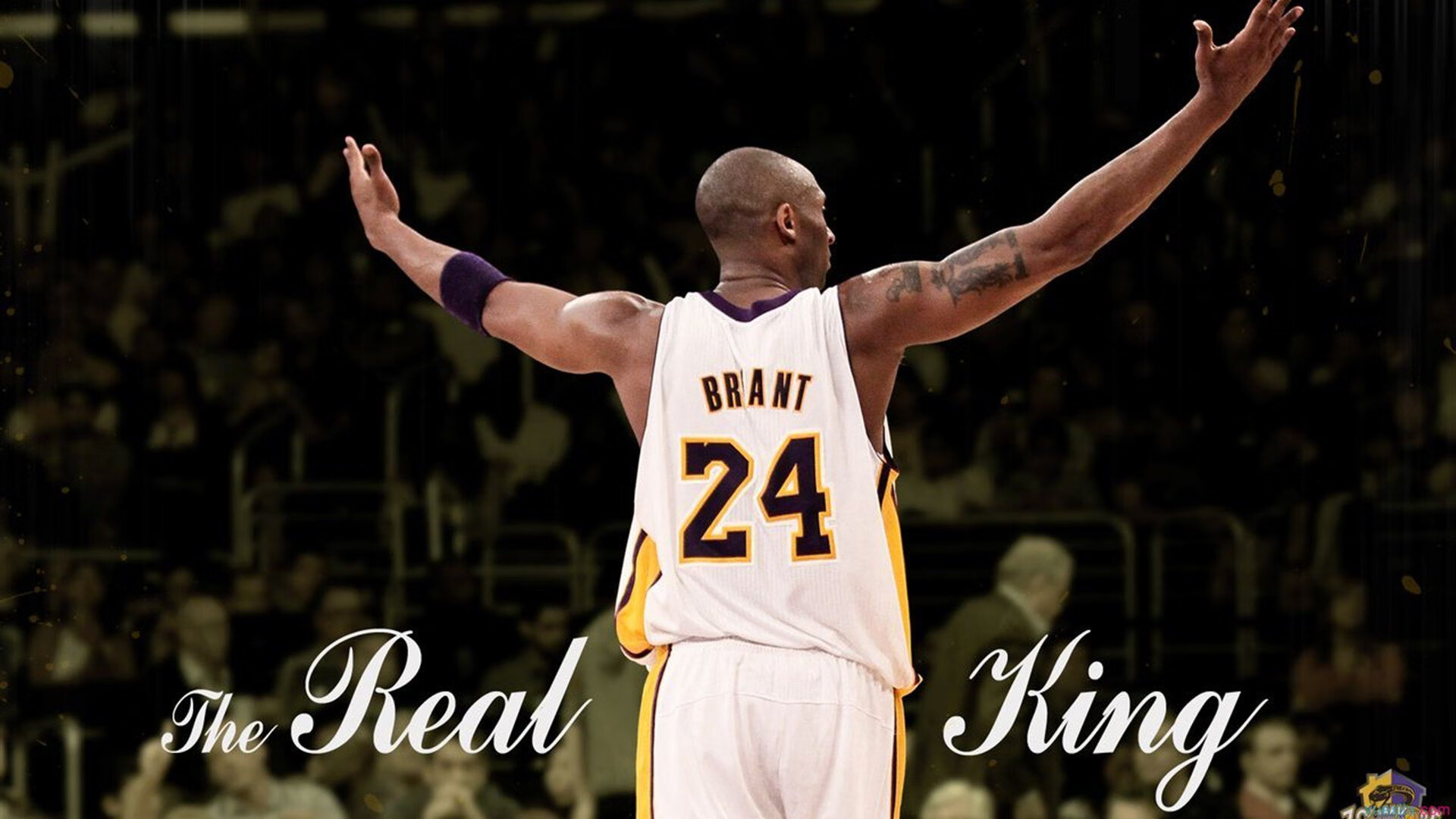 兴隆湖畔，见证速度与荣耀，兴隆湖456亩项目