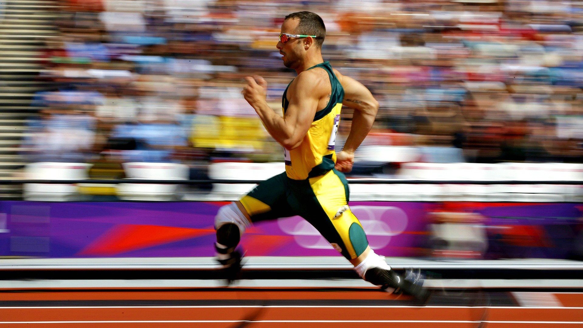 数据分析：体能储备与爆发力关系，体能爆发力训练计划